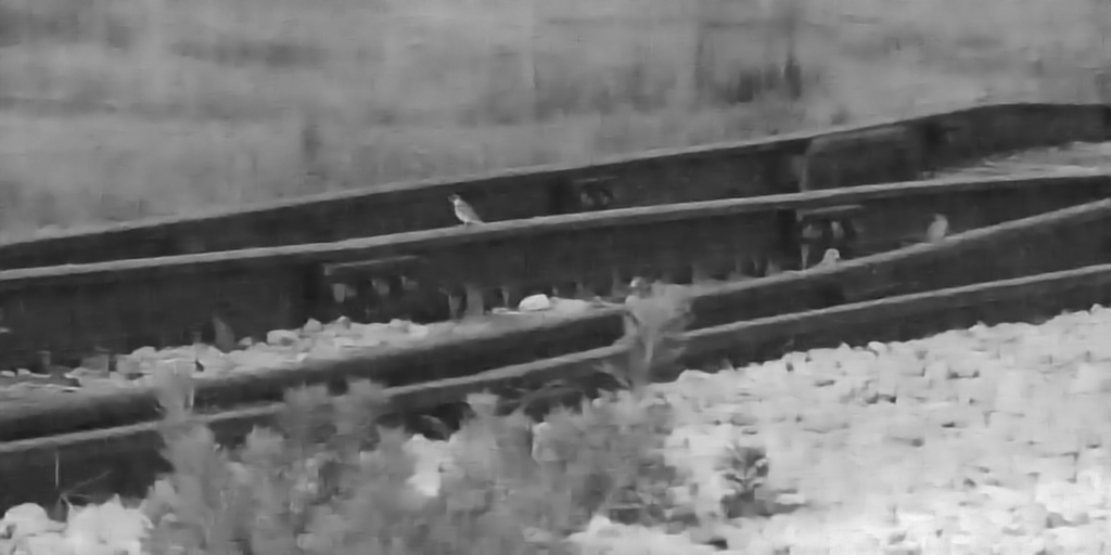 Same video, processed by DeepLux